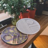 Molds - Tray Casting Mold - for Epoxy, Clay or other casting medium