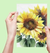 Sunflower Greeting Cards, Set of 2 Designs, Bulk Pack of Cards