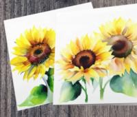 Sunflower Greeting Cards, Set of 2 Designs, Bulk Pack of Cards