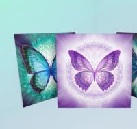 Butterfly Greeting Cards, Set of 5 Designs, Bulk Pack of Cards