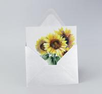 Sunflowers - Single Card or Bulk 10 Pack of Greeting Cards