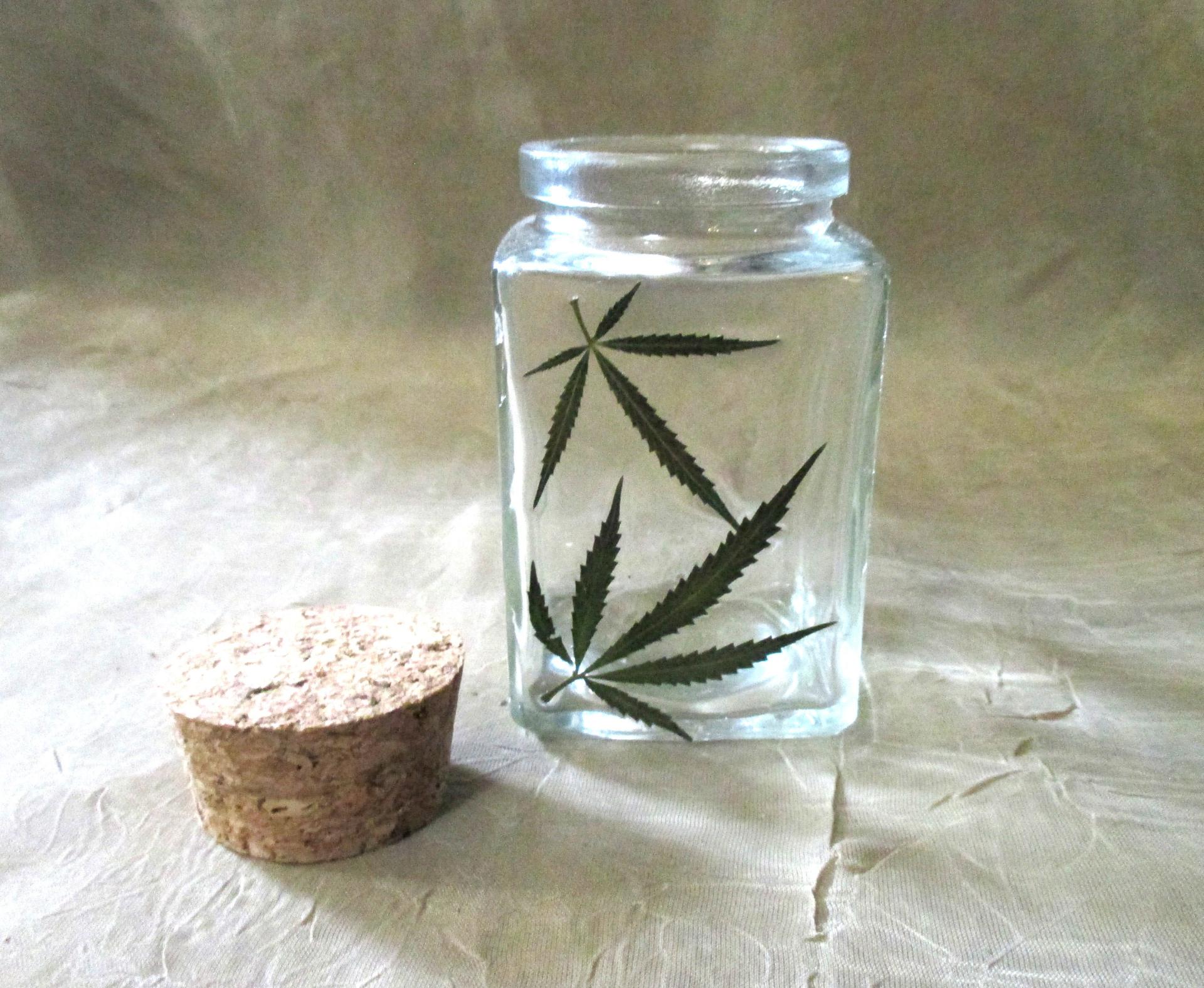 Large Jars - 3.4oz - Glass Bottles with Epoxy, Cannabis Leaves in Resin