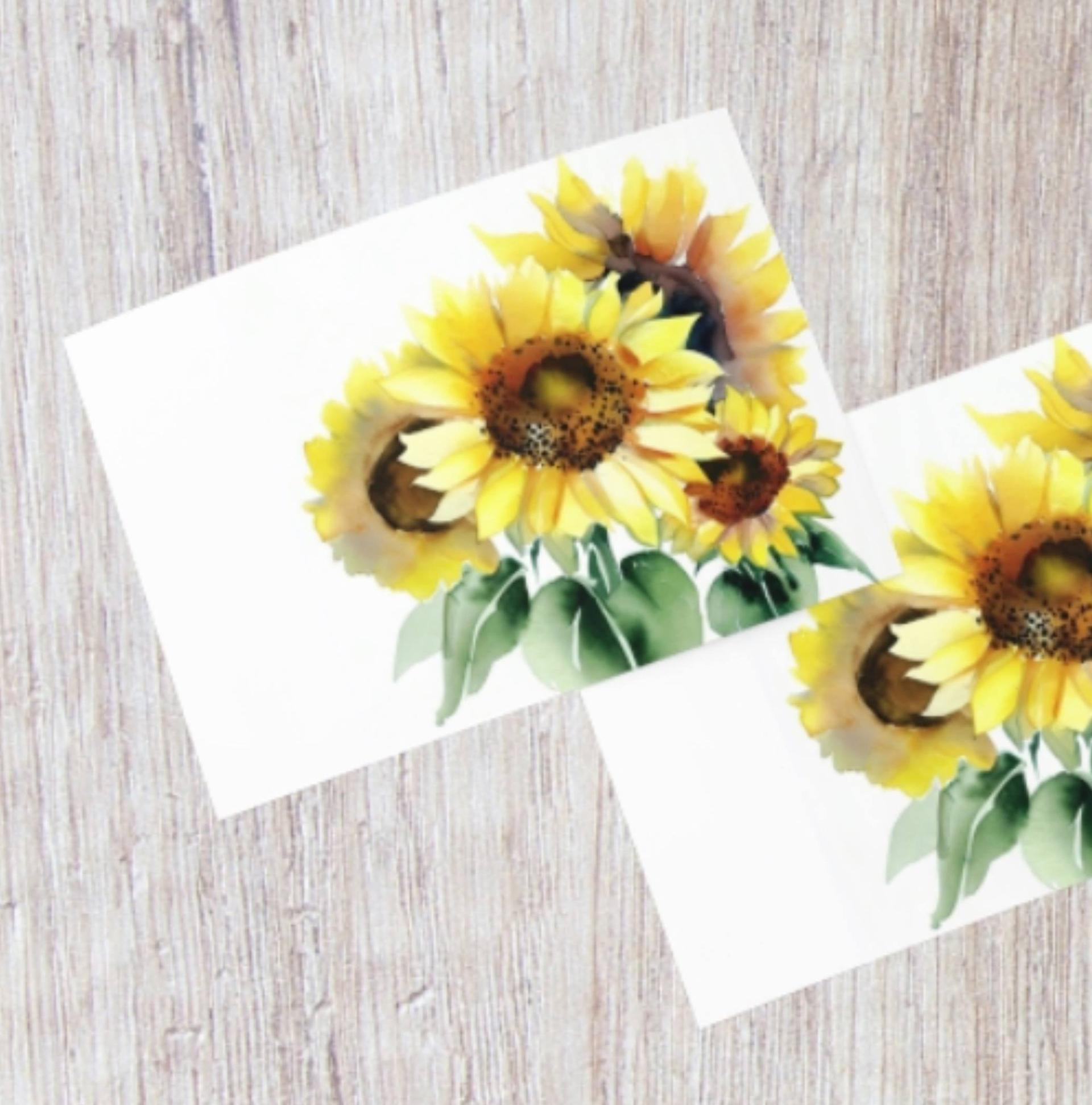 Sunflowers - Single Card or Bulk 10 Pack of Greeting Cards