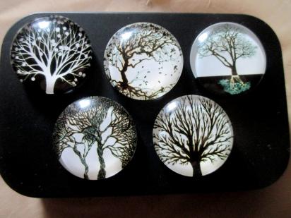Magnets in Tin - 5 Magnets in a Hinged Lid Tin - Trees