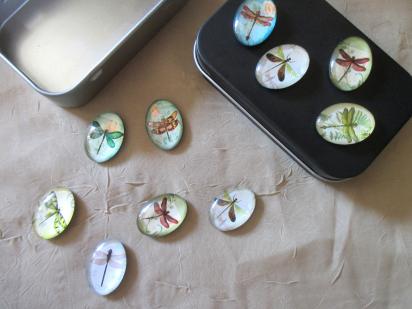 Magnets in Tin - Dragonfly Magnets in a Hinged Lid Tin