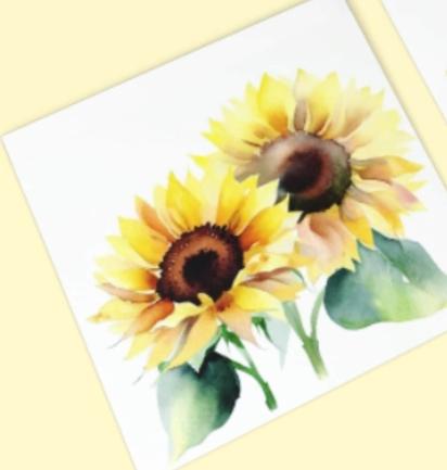 Sunflowers - Single Card or Bulk 10 Pack of Greeting Cards