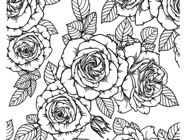 Large Rose Mat Mold and Stamp - Texture for Clay, Polymer Clay, Resin and casting - Silicone Cling Stamp